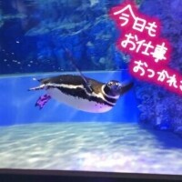 おつかれさまー