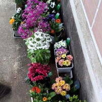 おはようございます！