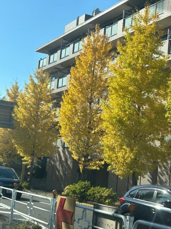 貴方に会いたい🩷