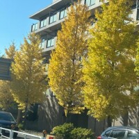 貴方に会いたい🩷