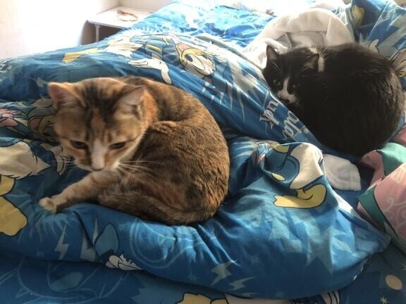 夜、寝れず…4:00