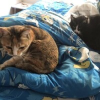 夜、寝れず…4:00