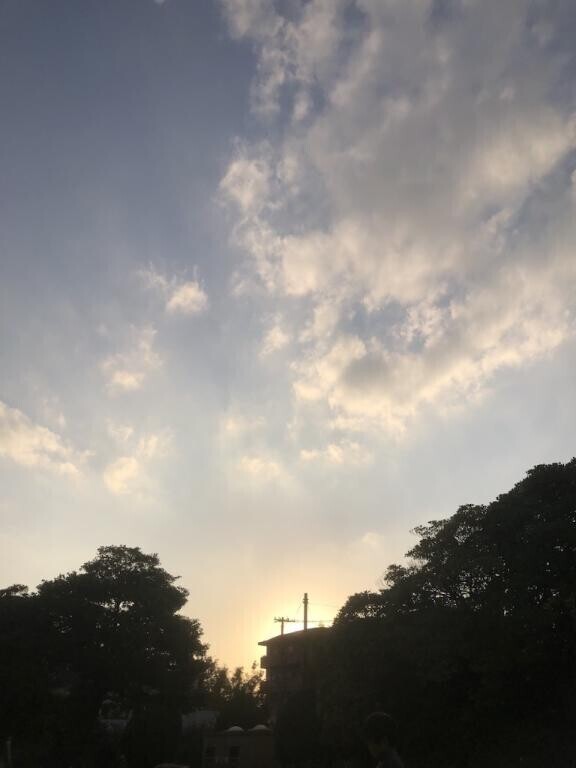 公園でも、何処でも♪♪