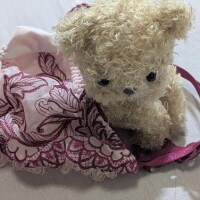 少しはやいのですが、(⁠◍⁠•⁠ᴗ⁠•⁠◍⁠)