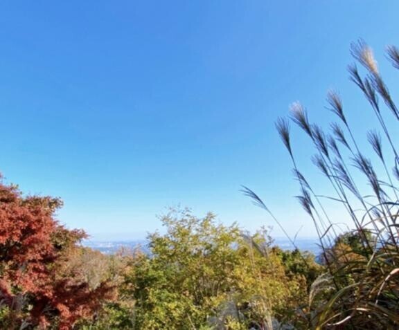 いい感じな、秋晴れだね♪♪