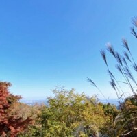 いい感じな、秋晴れだね♪♪