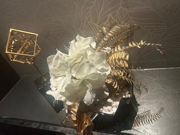 西船橋最高ですよ