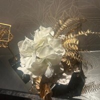 西船橋最高ですよ