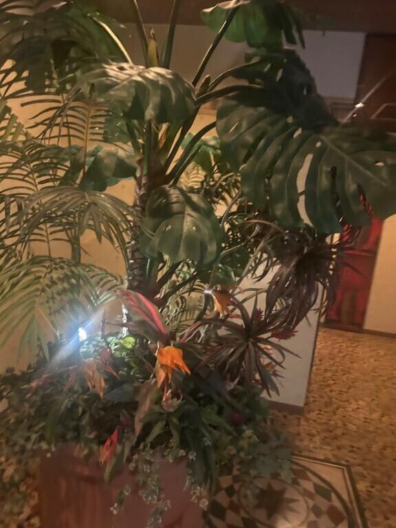 クリスマスの出さなきゃ