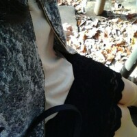 秋の紅葉と読書