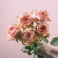 ☆☆☆受付終了☆☆☆