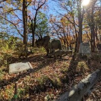 【お礼写メ日記】いつもありがとう⸜⸝‍