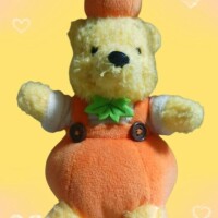 ディズニー混んだかな