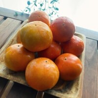 なかなか、男の人が、社会で生きていくには