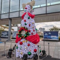 明日もしかしたら