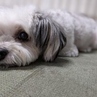 【御礼】昨日はありがとう