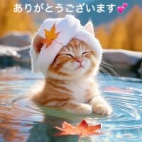 めっちゃ感謝 ｡ﾟ(ﾟ´ω`ﾟ)ﾟ｡