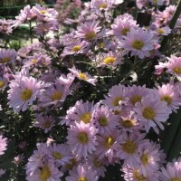 プチデートして来たよ☆