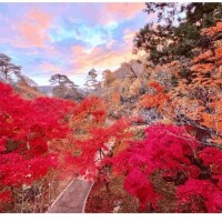 ブラックフライデー