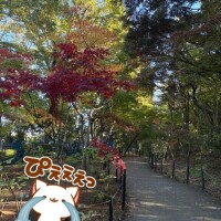 こんばんは* :ﾟ