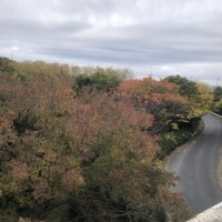 ☆☆☆受付開始☆☆☆ね