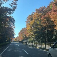 今日会えてすごく嬉しいよ