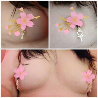 ニップルアクセサリーお気に入り