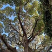 この間すごく素敵なお店を見つけました