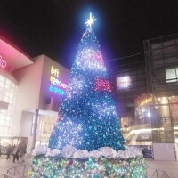 クリスマスツリー