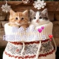 【感謝 (ㅅ･~･̥ )⟡.·】 緋色さん