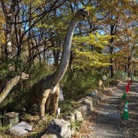 今日のごはん何にする?