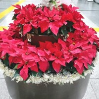 お疲れ様でした〜