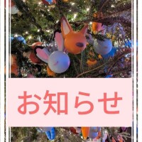 12月のスケジュール