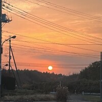 早く貴方に抱かれたいよ