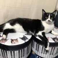 今日も、１日ありがとう♪♪してね