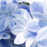 ハンドメイドしてたよ！！