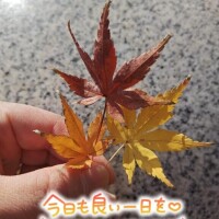 出勤途中で見つけたよ