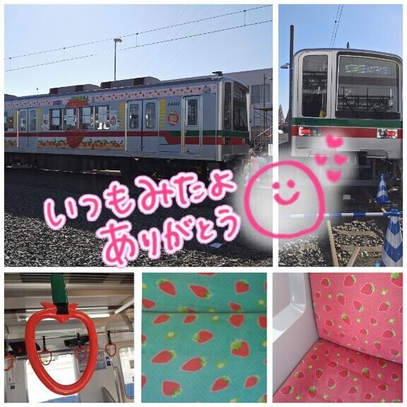 みたよありがとー