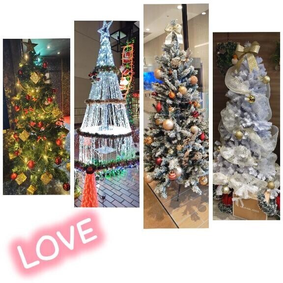 どのツリーもキレイだね〜