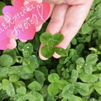 おつかれさまー(*^^*)