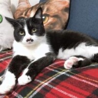 ショートスリーパーな私♪♪