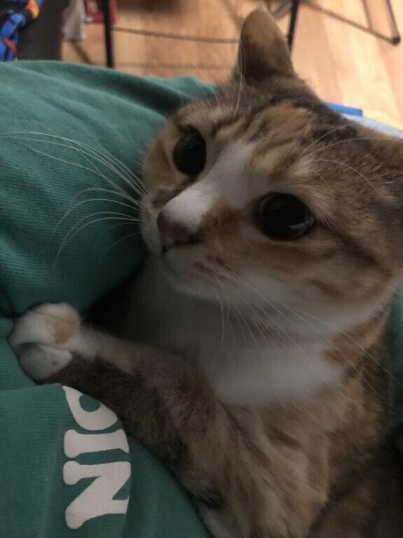 改めて、おはよう♡