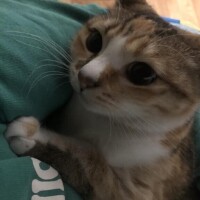 改めて、おはよう♡