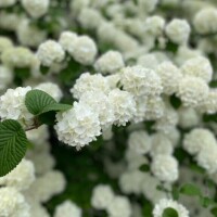 [お題]from:アポロンさん