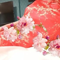 緋色【ひいろ】