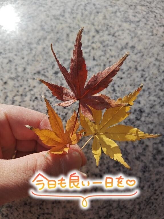 おはようございます