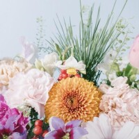 海音【あまね】