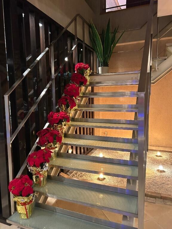 今日はお休みです