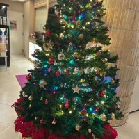 どうしてこんなに道が混んでいるんであろうとか