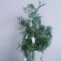 海音【あまね】